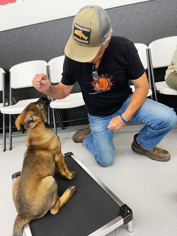 48DFCA8F-AE85-44D6-8A81-188BB11D3755