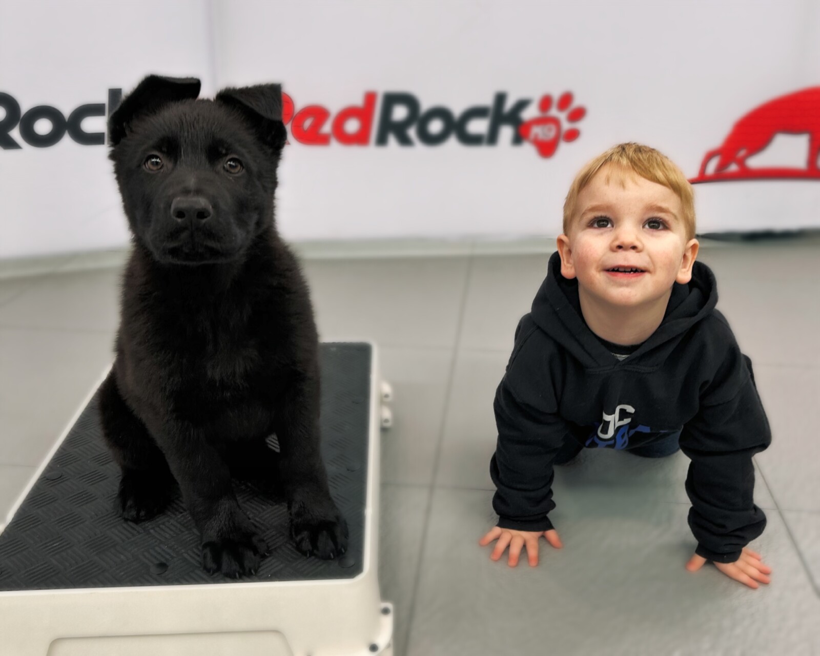 RRK9 Gunney and Toddler